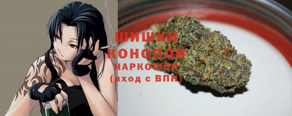 тгк Верея