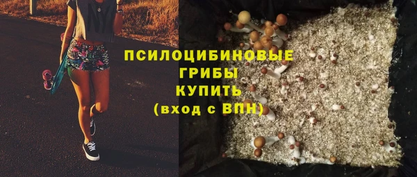 бошки Шадринск