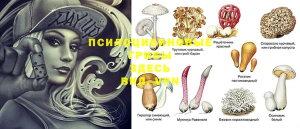 соль ск Верхний Тагил