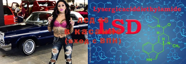 тгк Верея