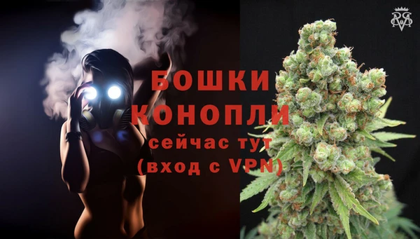 тгк Верея