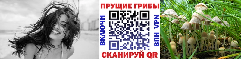 Галлюциногенные грибы MAGIC MUSHROOMS блэк спрут рабочий сайт Магас